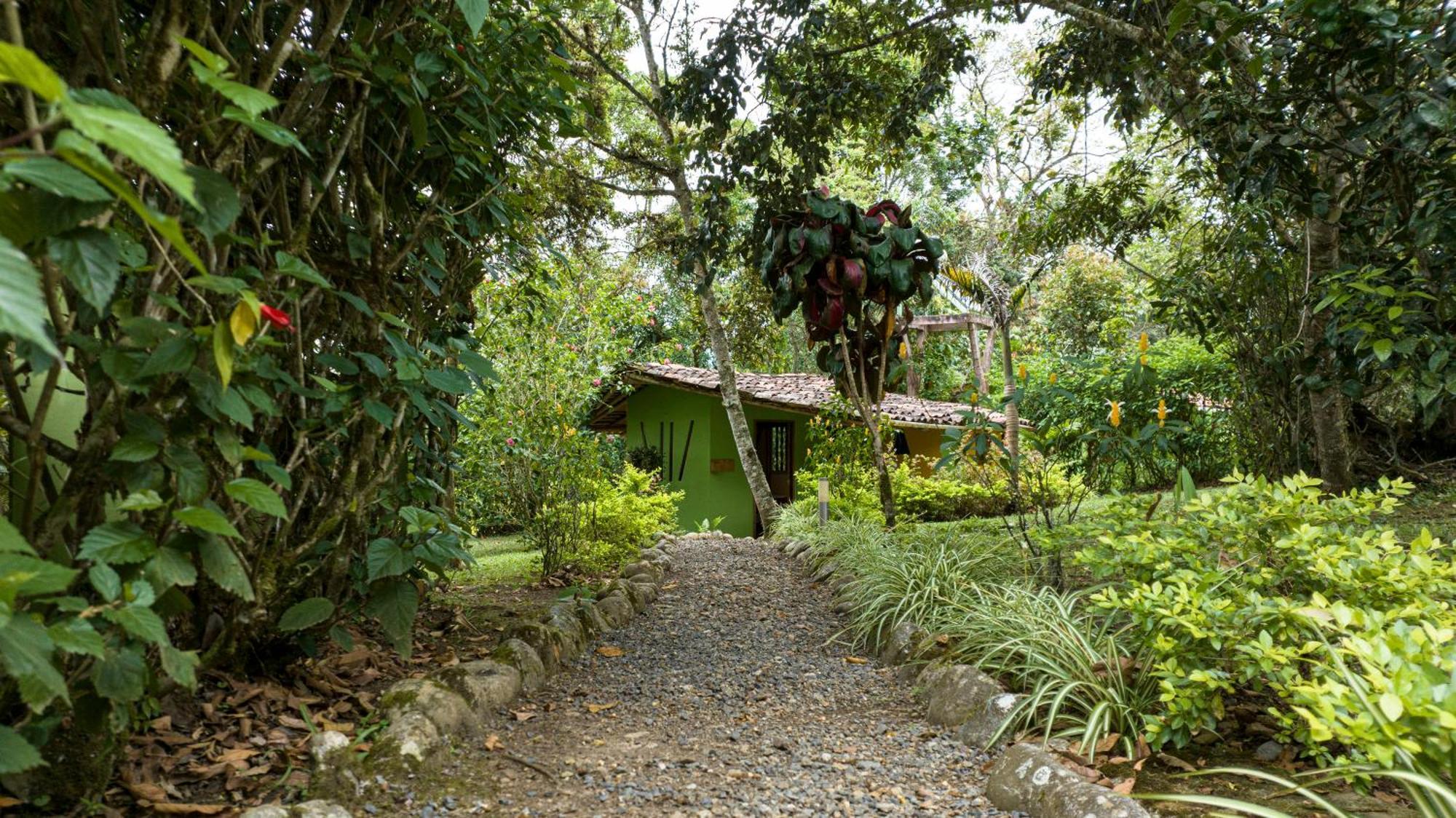 Finca Ecologica El Maco San Agustín Chambre photo